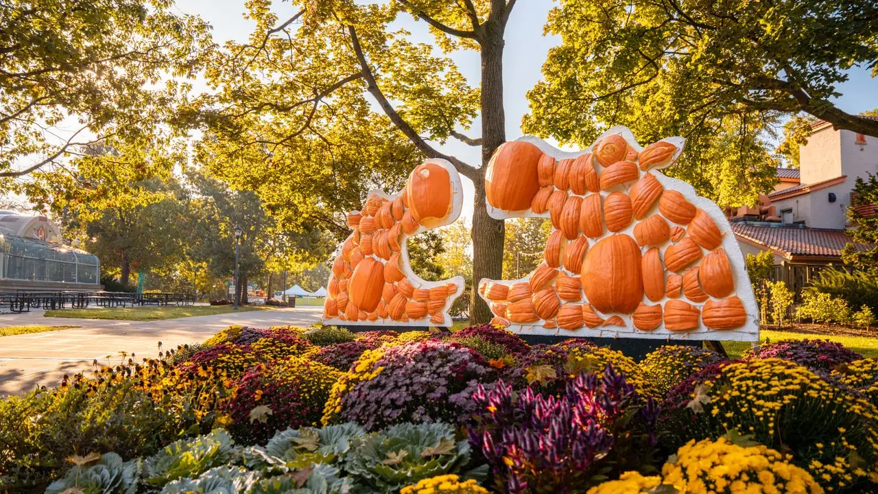 Toledo Zoo Harvest Fest
